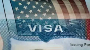Immigrant visa applications worldwide are currently on hold as: The wider industry impact