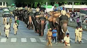 Mysuru: The state govt’s decision to revamp Mysuru Dasara celebrations has raised concerns over