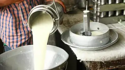 Buffalo dairies increase milk price by record Rs 9 per litre in Mumbai