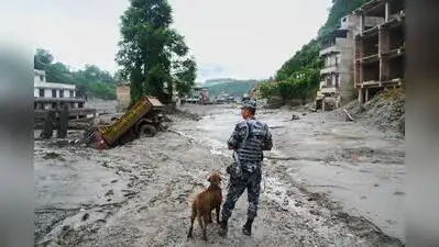 Maharashtra district collectors to find details of all travellers from state to Nepal: Relief