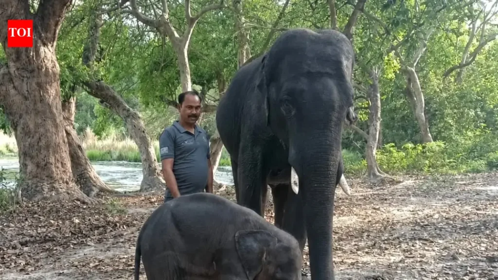 Since then, Uma has been learning essential life skills from her surrogate mother, who takes