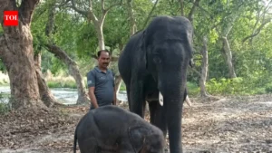 Since then, Uma has been learning essential life skills from her surrogate mother, who takes