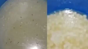 Ahead of Raksha Bandhan, the Food Safety Department in Ghaziabad launched a major crackdown