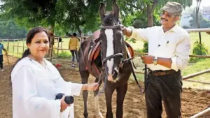 Horses steal the morning at Colvin College — Gallop through history: The wider industry impact