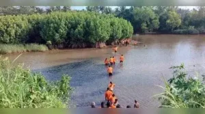 Mangrove plantation drive along the banks of the Netravathi River: The wider industry impact