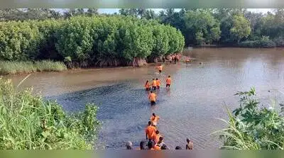 Mangrove plantation drive along the banks of the Netravathi River: The wider industry impact