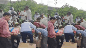 Watch: Kanpur factory dumps expired chocolates as garbage, locals loot them off highway