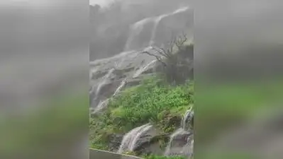Congress targets BJP MPs over Western Ghats ESA notification