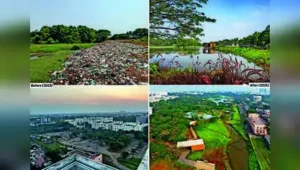 The eco park in Porur is said to be India’s first sponge park: The wider industry impact