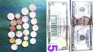 Kalaburagi : Foreign currency and coins from several countries were: The wider industry impact