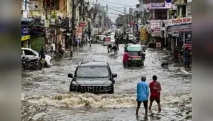 Several areas are likely to receive light to moderate rain: The wider industry impact