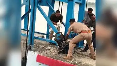 Divisional forest officer (DFO) Apoorv Dixit told TOI the rescued gharial was an adult female