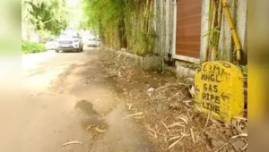 Nashik civic body puts brakes on MNGL road-digging plan: The wider industry impact