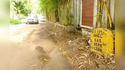 Nashik civic body puts brakes on MNGL road-digging plan: The wider industry impact