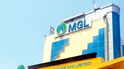 Navi Mumbai environment activist loses Rs 1.5 lakh in fake MGL bill scam