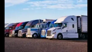 US announces emergency executive shutdown of 110 driving schools for 5000 violations: 'No English