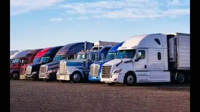 US announces emergency executive shutdown of 110 driving schools for 5000 violations: 'No English