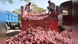Kanda Express with 800 tonnes of onions to leave from Nashik: The wider industry impact