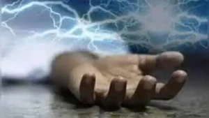 Police question GCC, TNPDCL officials over death of woman who fell into open pit and was