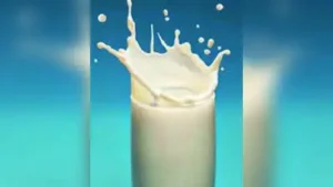 One-year-old girl dies after choking on milk in Kolhapur village; second such tragedy in district