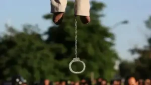 On average, more than four people were executed daily