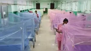Madurai: In the light of the recent rain and heightened risk of seasonal mosquito-borne