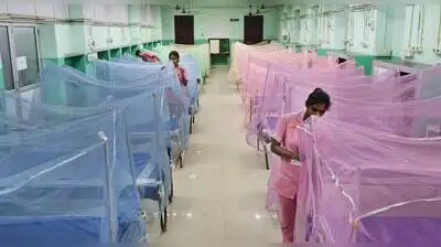Madurai: In the light of the recent rain and heightened risk of seasonal mosquito-borne