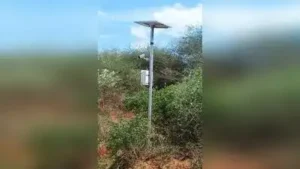 Tenkasi district forest officer Rajmohan said the cameras were: The wider industry impact