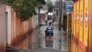 The rainfall was significantly higher than Mahoba’s average daily: The wider industry impact