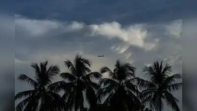 Kochi: Kerala agriculture department is poised to expand coconut: The wider industry impact