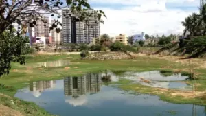 That question sits at the heart of a new study on Bengaluru's urban: The wider industry impact