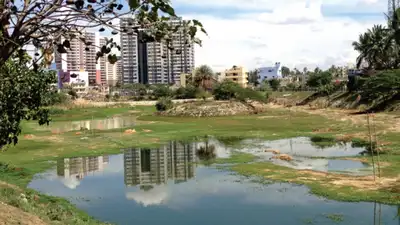 That question sits at the heart of a new study on Bengaluru's urban: The wider industry impact
