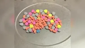 Malappuram district police on Friday seized 12.8kg of MDMA, valued at more than Rs 10 crore