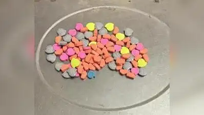 Malappuram district police on Friday seized 12.8kg of MDMA, valued at more than Rs 10 crore