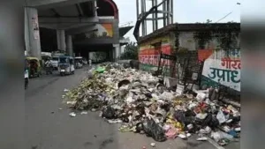 Trash troubles pile across city — Stink to mosquito sting: The wider industry impact