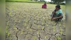 Karnataka will submit a memorandum to the Centre seeking drought relief by the first week
