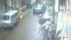 Pune: An ageing stray dog was cruelly mowed down by a car in a hit-and-run incident in Ambegaon