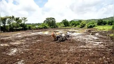 Nashik: As many as 9,731 farmers in the district received the debt: The wider industry impact