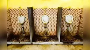 HC questions NMC over neglect of public toilets across city