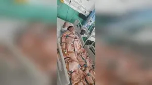 Nagpur: All but one of the 106 pilgrims from Nagpur stranded: The wider industry impact