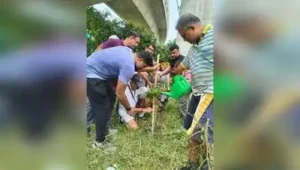 CM plants sapling to mark Rakhi fest