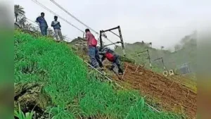 Vetiver grass being planted on hill slopes of Karjat-Lonavla section: The wider industry impact