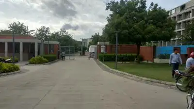 A total of 13 female students at IIT Gandhinagar (IIT-Gn) became: The wider industry impact