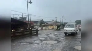 Rain-soaked and overcrowded: Mahabaleshwar receives wetter, bumpier: The wider industry impact