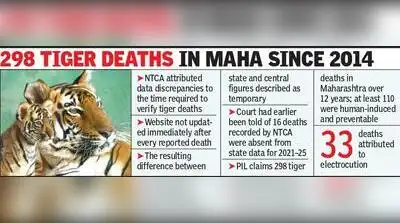 Verification period after tiger deaths behind mismatch in central, Maha data: NTCA to HC