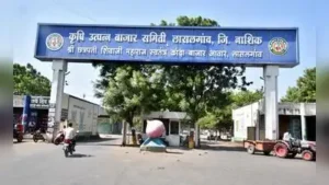 Nashik : Wholesale onion prices at Lasalgaon APMC, the country’s: The wider industry impact