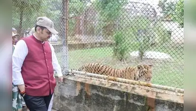 CM Devendra Fadnavis at Gorewada International zoo on Sunday - Nagpur