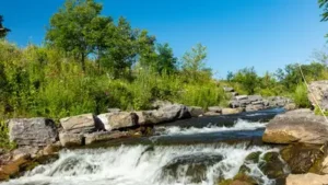 In 2020, Albany brought 1,500 feet of Patroon Creek back above: The wider industry impact
