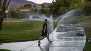 Las Vegas Valley converted 250 million sq ft of lawn to save water: The wider industry impact