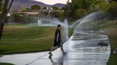 Las Vegas Valley converted 250 million sq ft of lawn to save water: The wider industry impact
